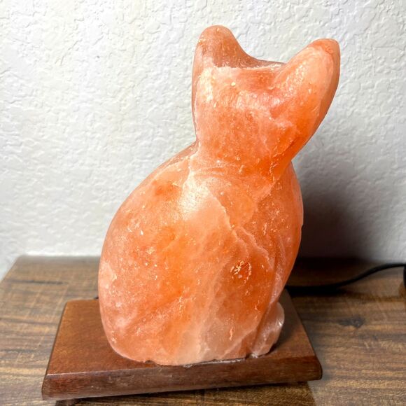 Vintage Pink Himalayan Salt Lamp Cat Shaped Carved Orange Rock Crystal Wood Base - Picture 3 of 13